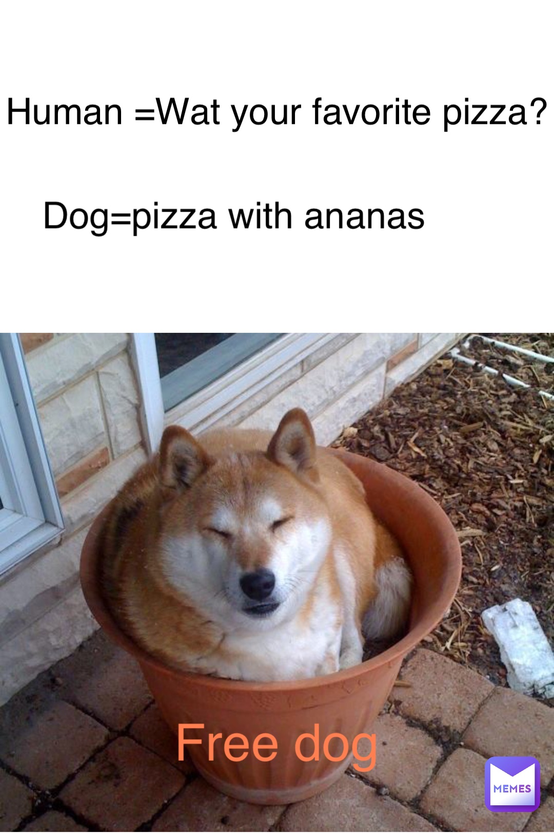 Human =Wat your favorite pizza? Dog=pizza with ananas Free dog