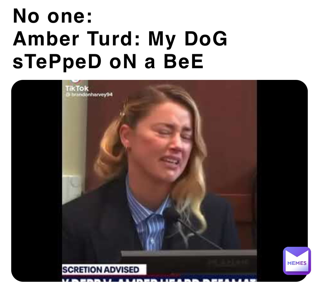 No one:
Amber Turd: My DoG sTePpeD oN a BeE