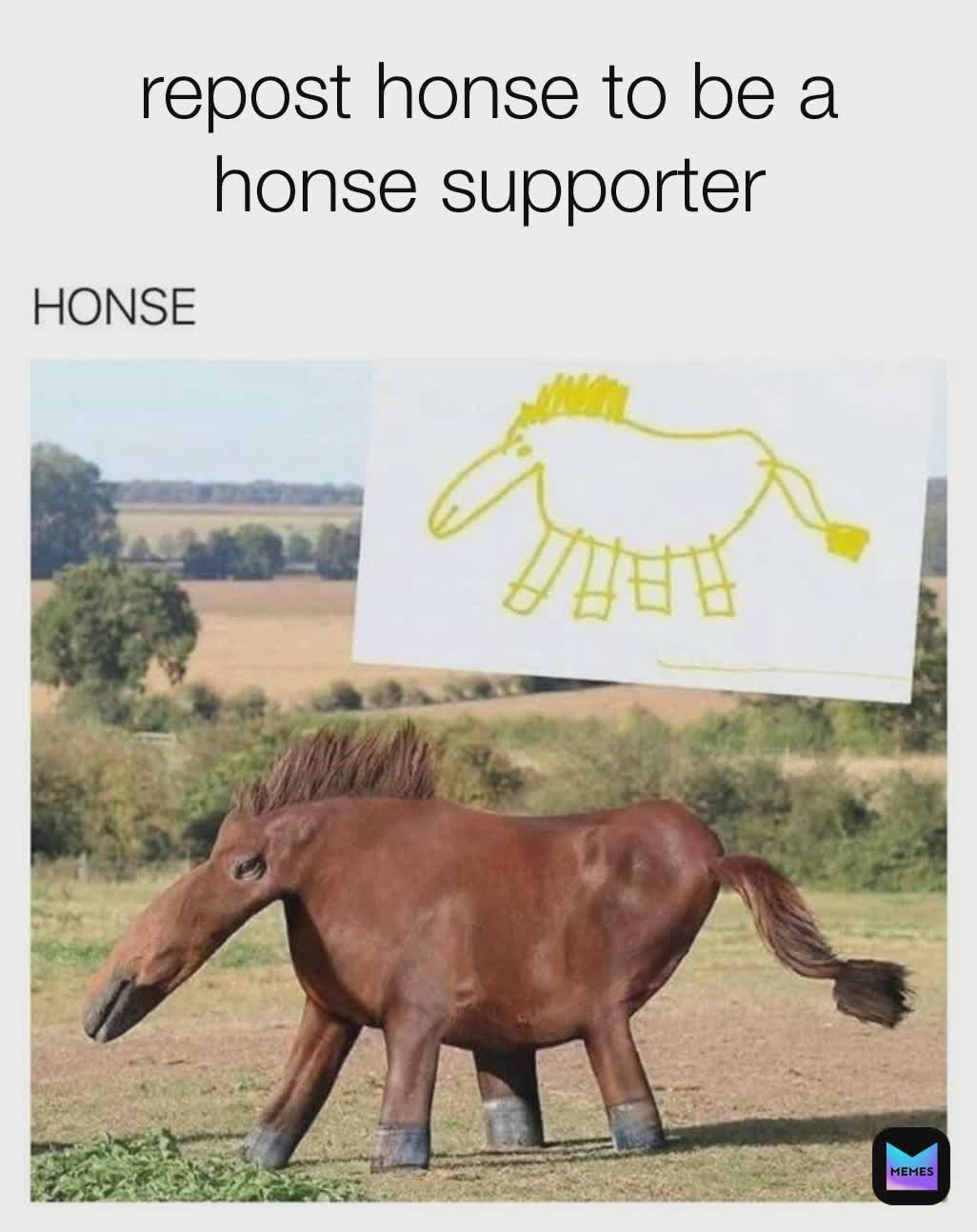 Лошадь стоит на берегу Мем почему.