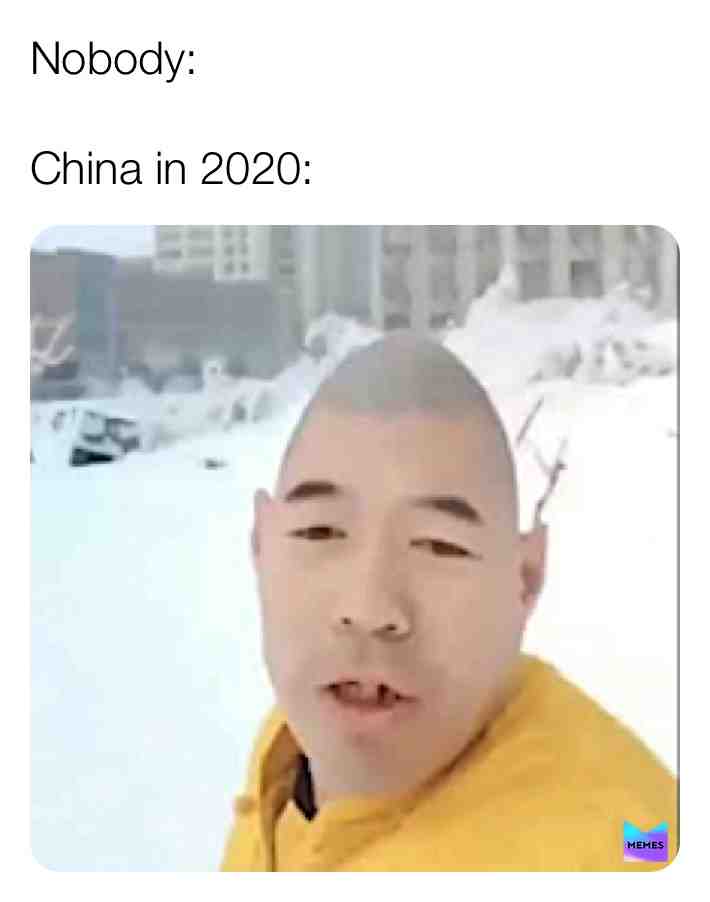Ah yes, The chinese.
#china #egghead #snow #egg #coronavirus #2020