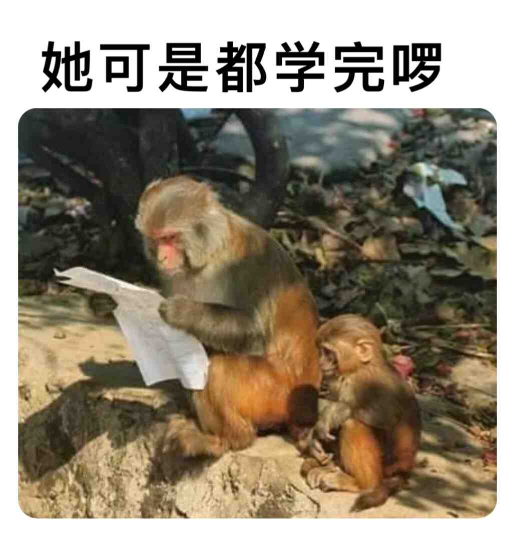 Meme shared by @2575383800