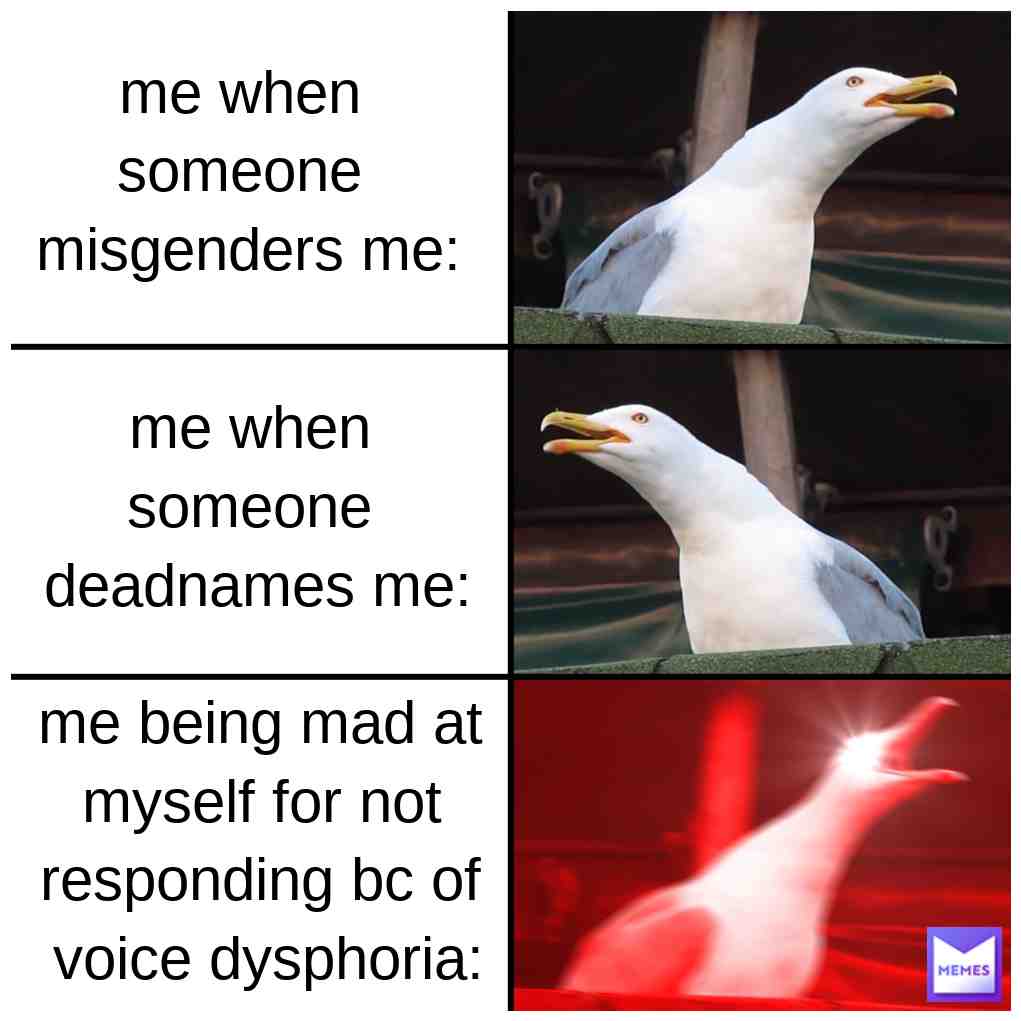 just some more trans/nonbinary memes #lgbtq #trans #transgender #nonbinary