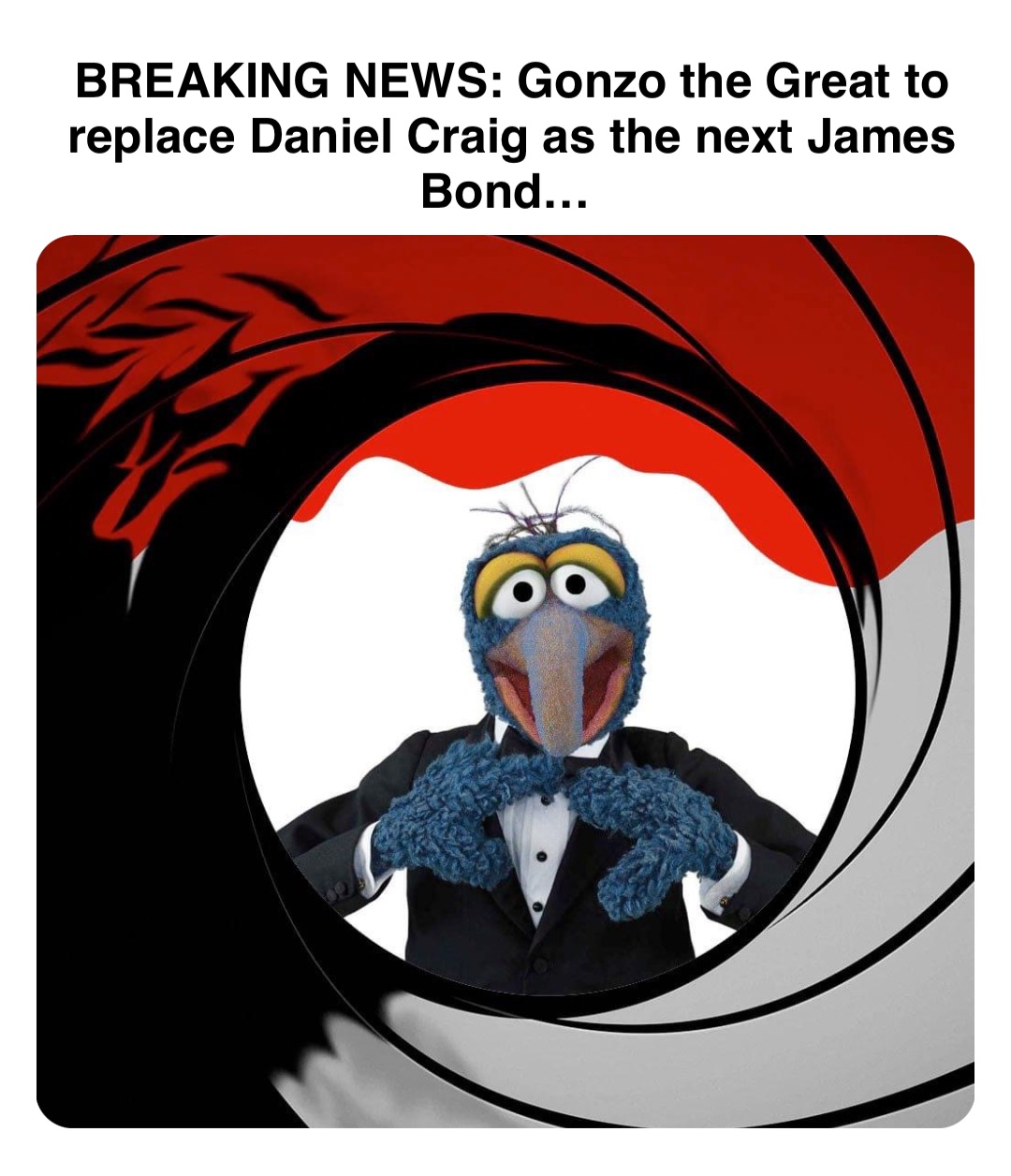 Double tap to edit BREAKING NEWS: Gonzo the Great to replace Daniel Craig as the next James Bond…