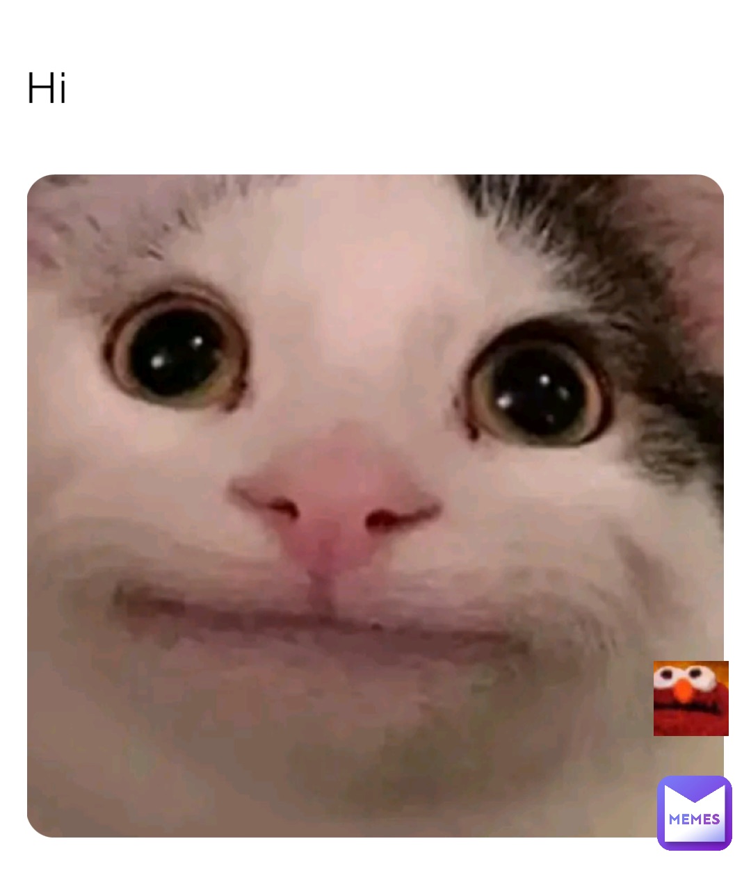 Hi