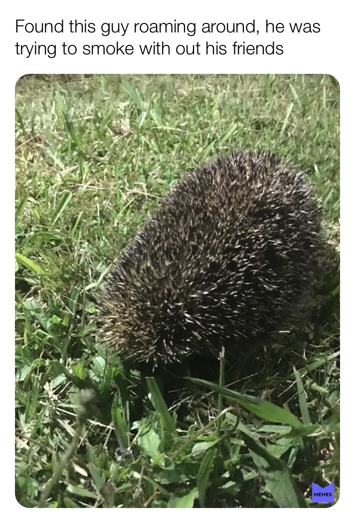 Meme by lonely_memer