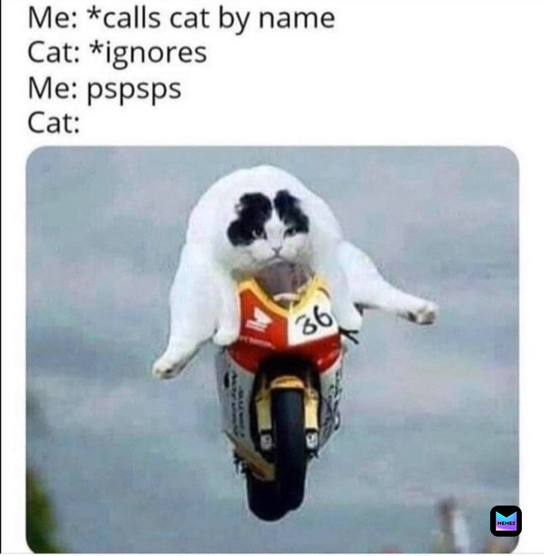 Meme by Isaiah_Adams