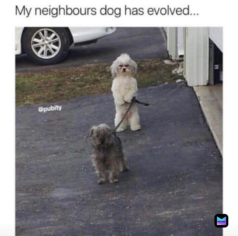 Meme by Isaiah_Adams