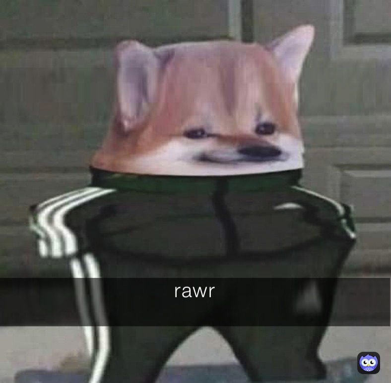 rawr
