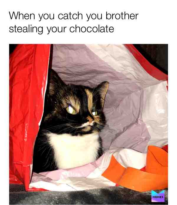 We siblings have all experienced this.