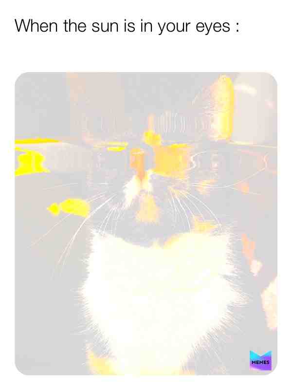 HaShtAg RelAtaBlE ;-;