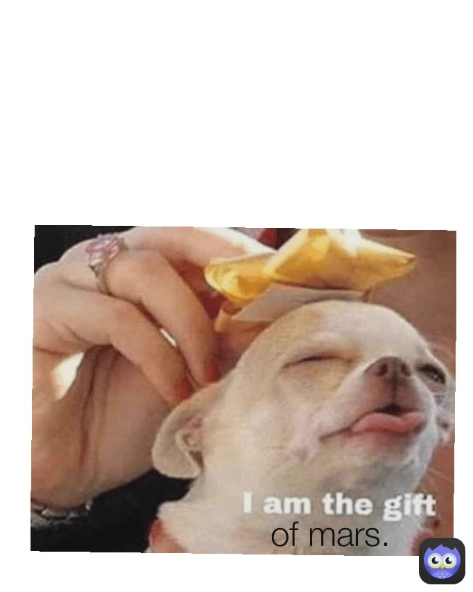 Meme by MemeProMaker