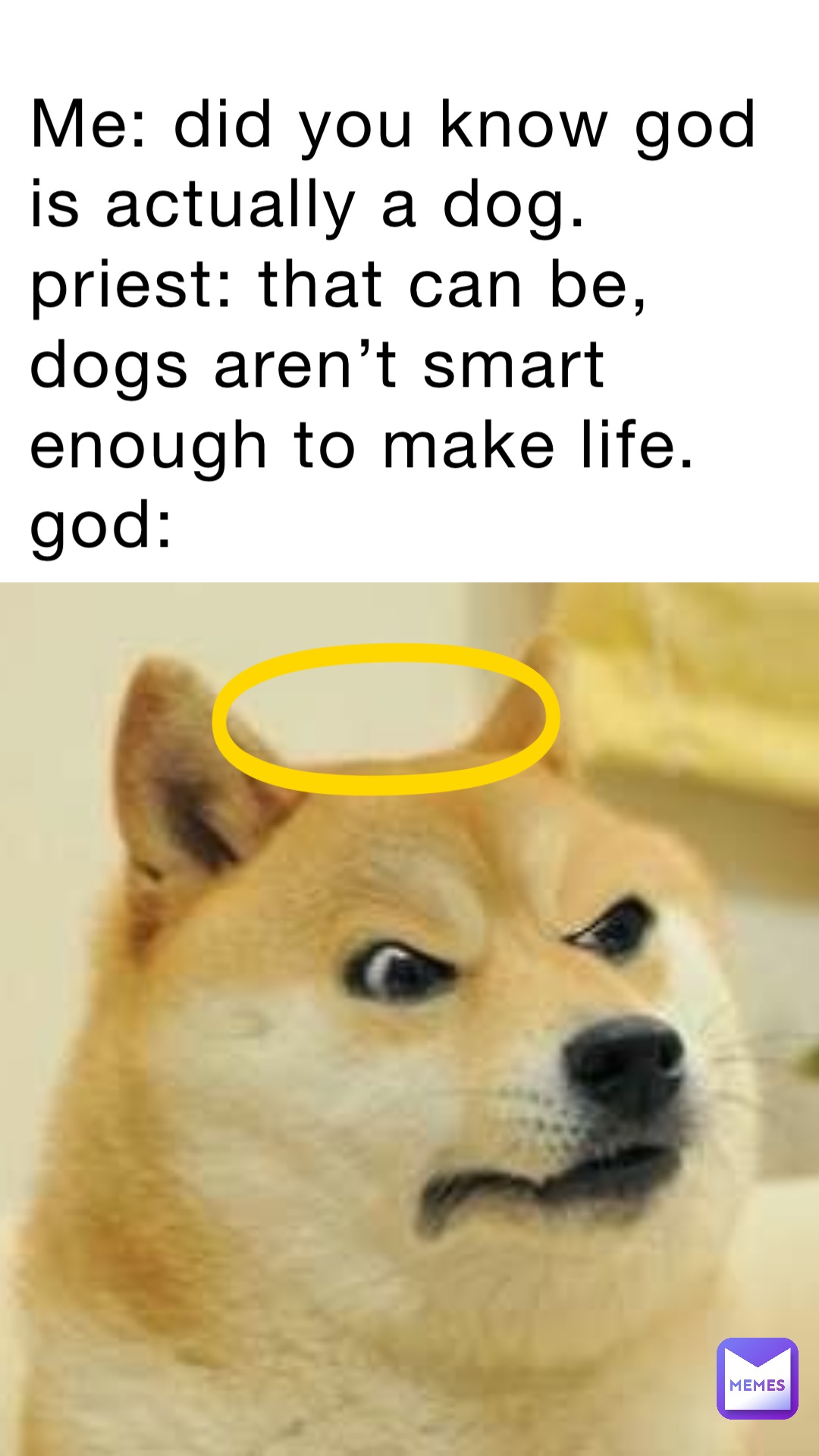 Doge Memes Memes