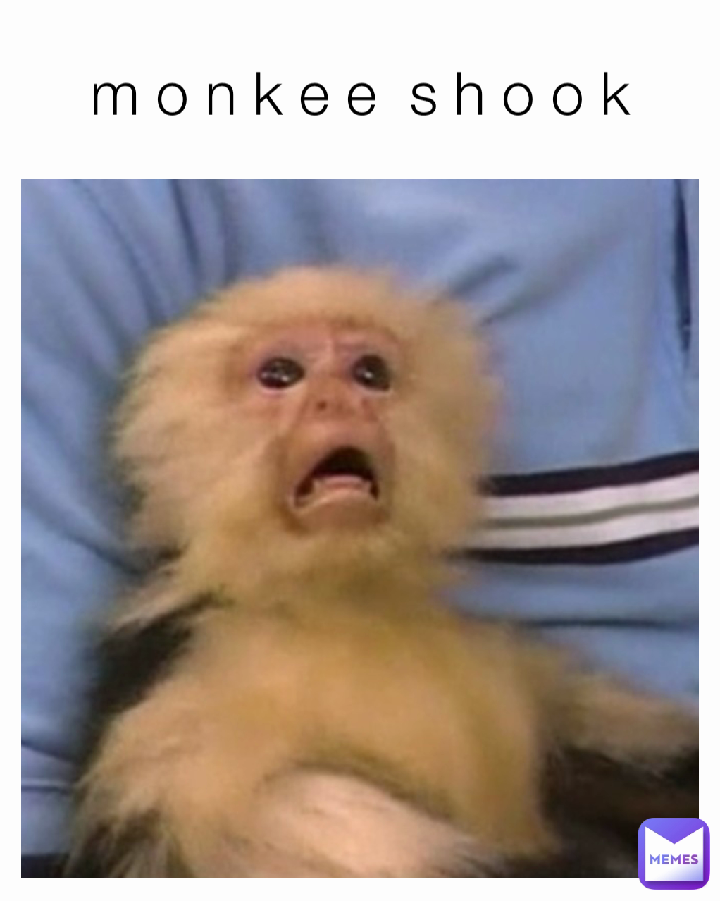 m o n k e e  s h o o k