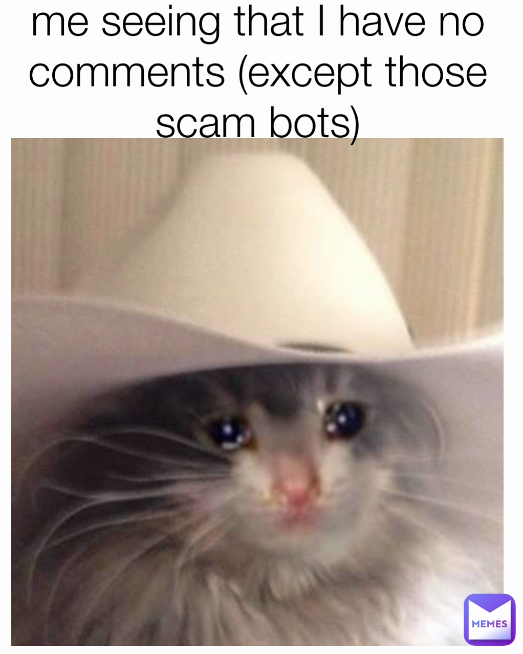 me seeing that I have no comments (except those scam bots)