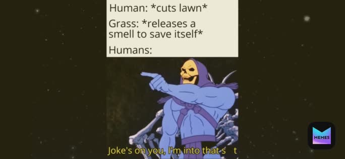 Meme by THEMEMESTER12345