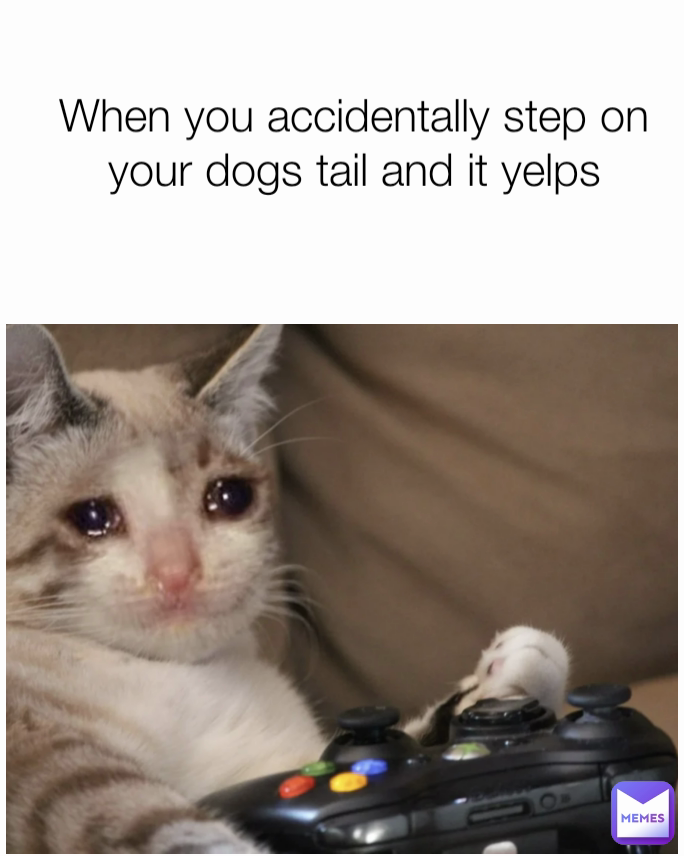 When you accidentally step on your dogs tail and it yelps