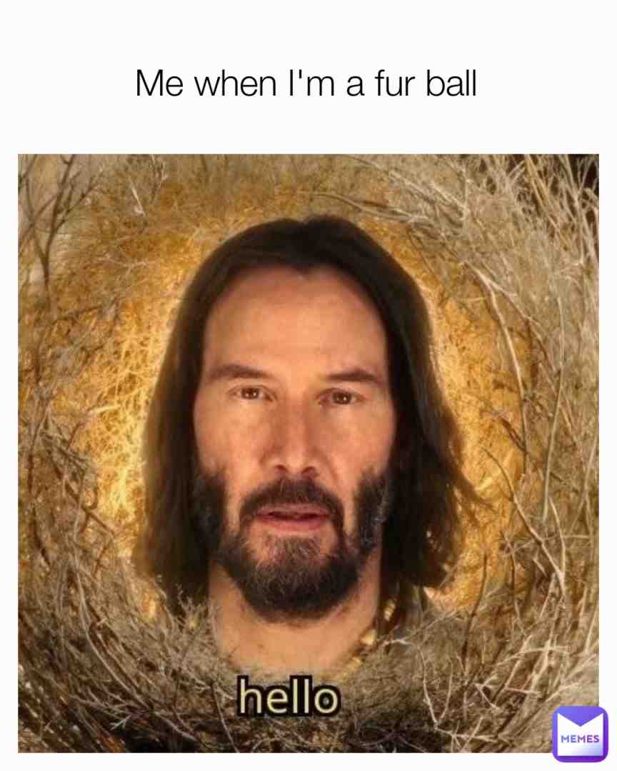 Meme shared by @Stephaniemarie