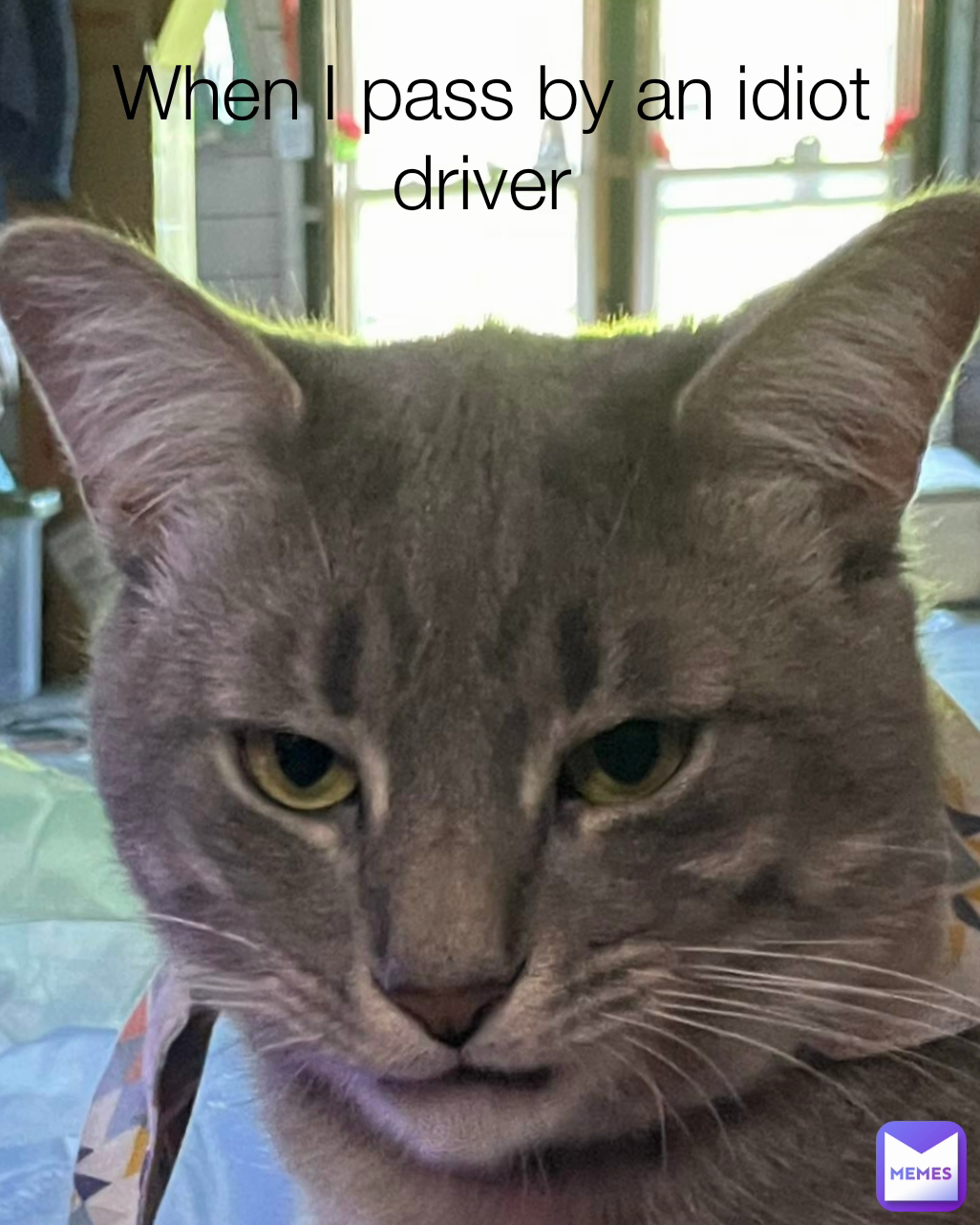 When I pass by an idiot driver 