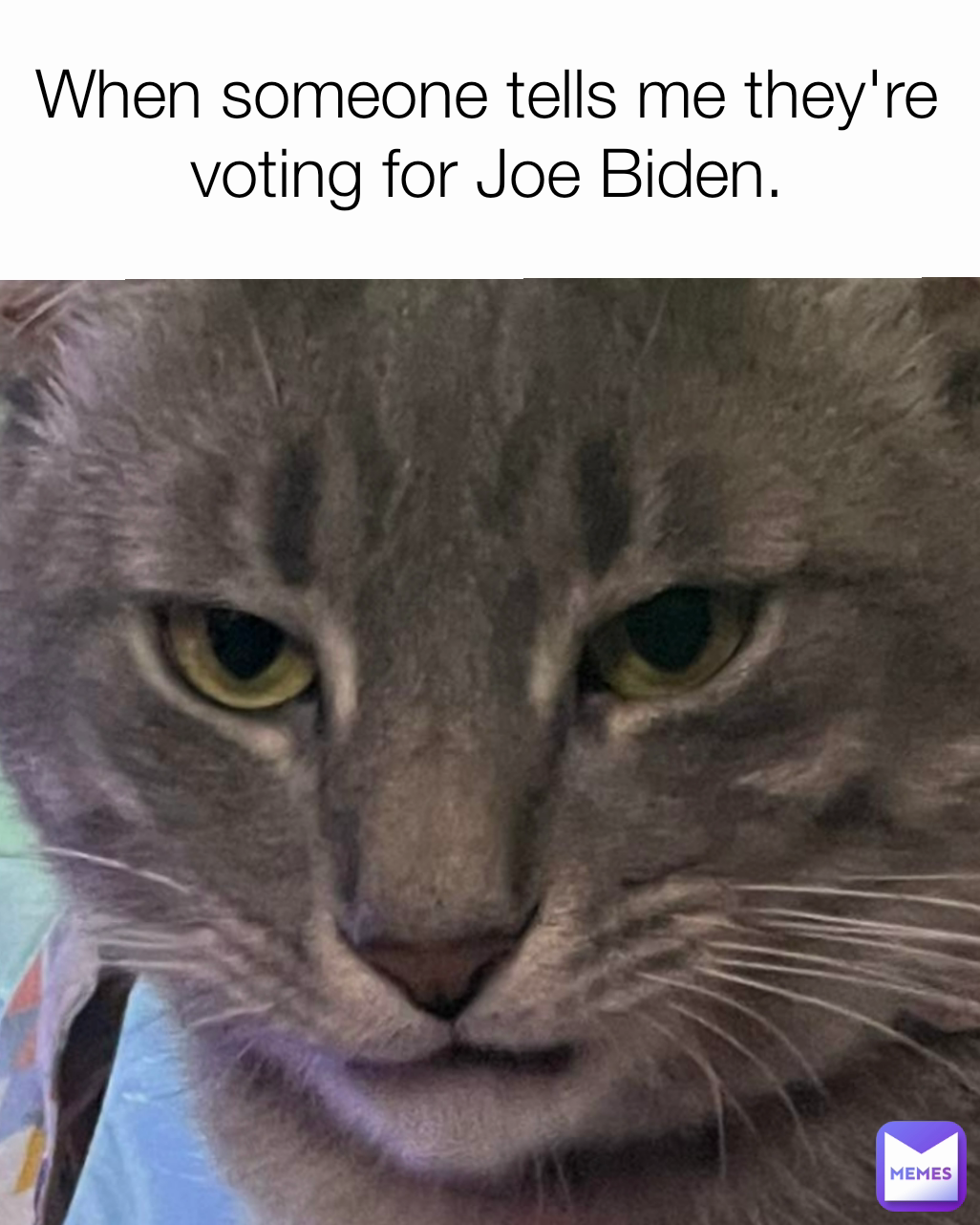 When someone tells me they're voting for Joe Biden.