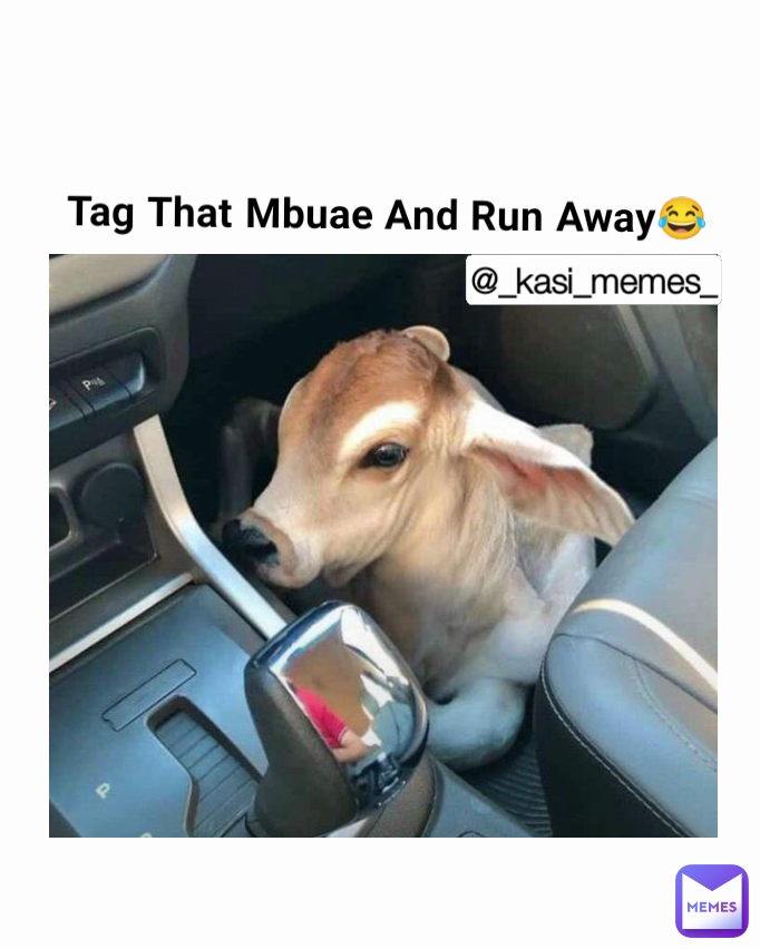 Tag That Mbuae And Run Away😂 @_kasi_memes_