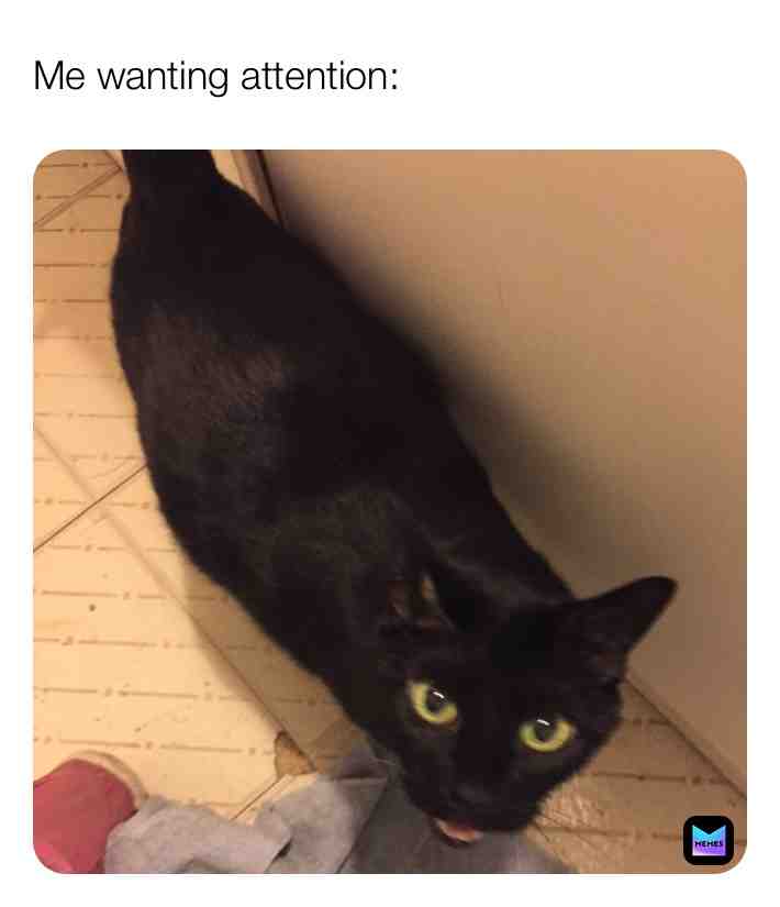 Relationships have that one person \ud83e\udd14
#relatable #relationships #relatablememes #relationshipmemes #relate #relationshipproblems #cat #catmeme #catmemes
