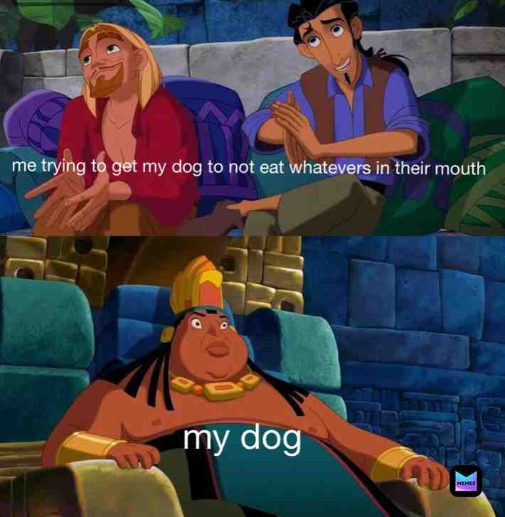 Dogs when they try to eat something they shouldn\u2019t
#relatable #dog #doggo #dogmemes #doggomemes #dogmeme #lol #lolmemes