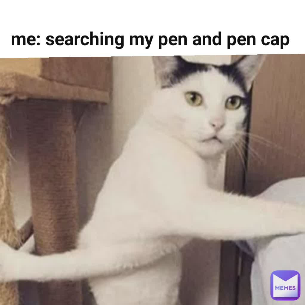 me: searching my pen and pen cap  meme site