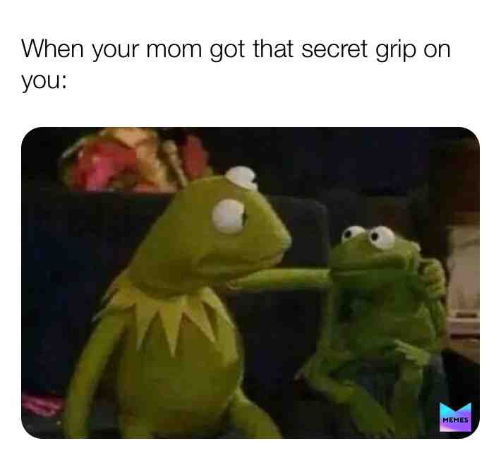 Meme shared by @FBI_Team