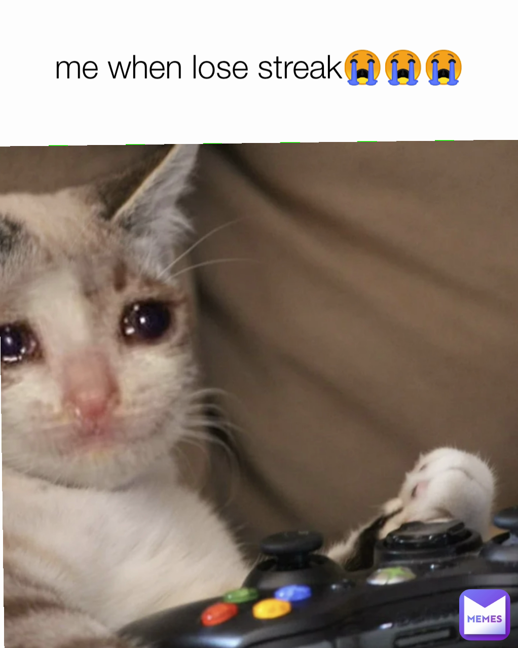 me when lose streak😭😭😭