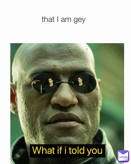 that I am gey that you are gey