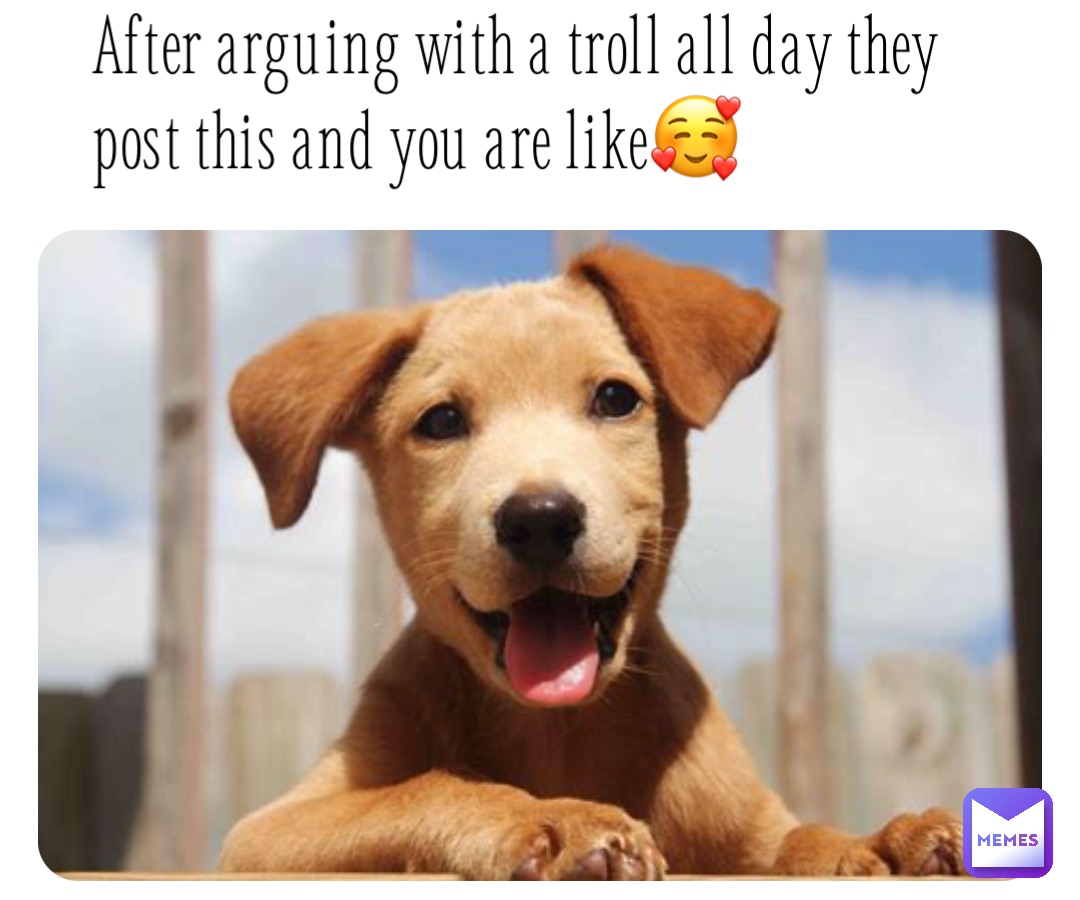 After arguing with a troll all day they post this and you are like🥰