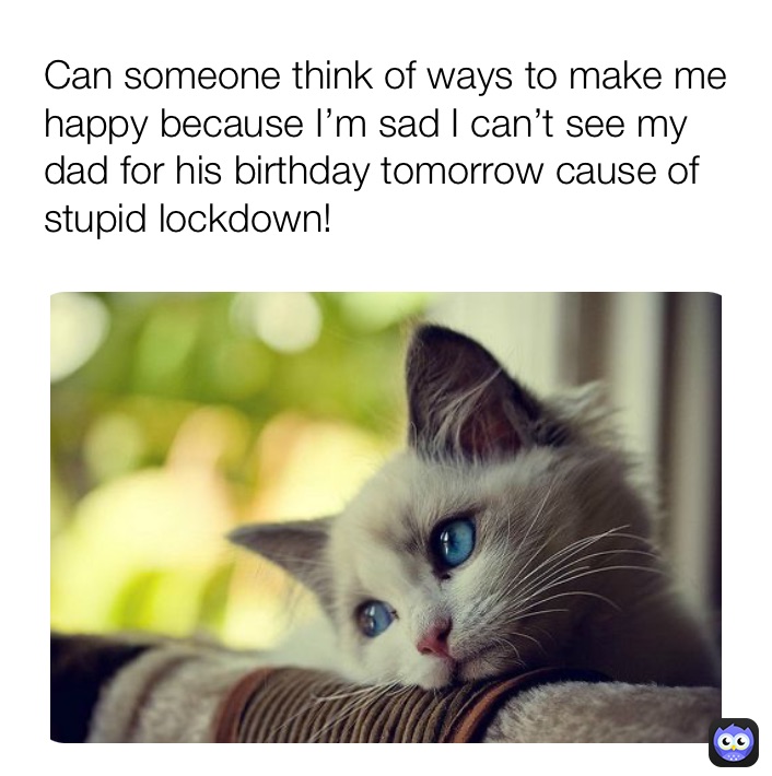 Meme by horsegirl_memes