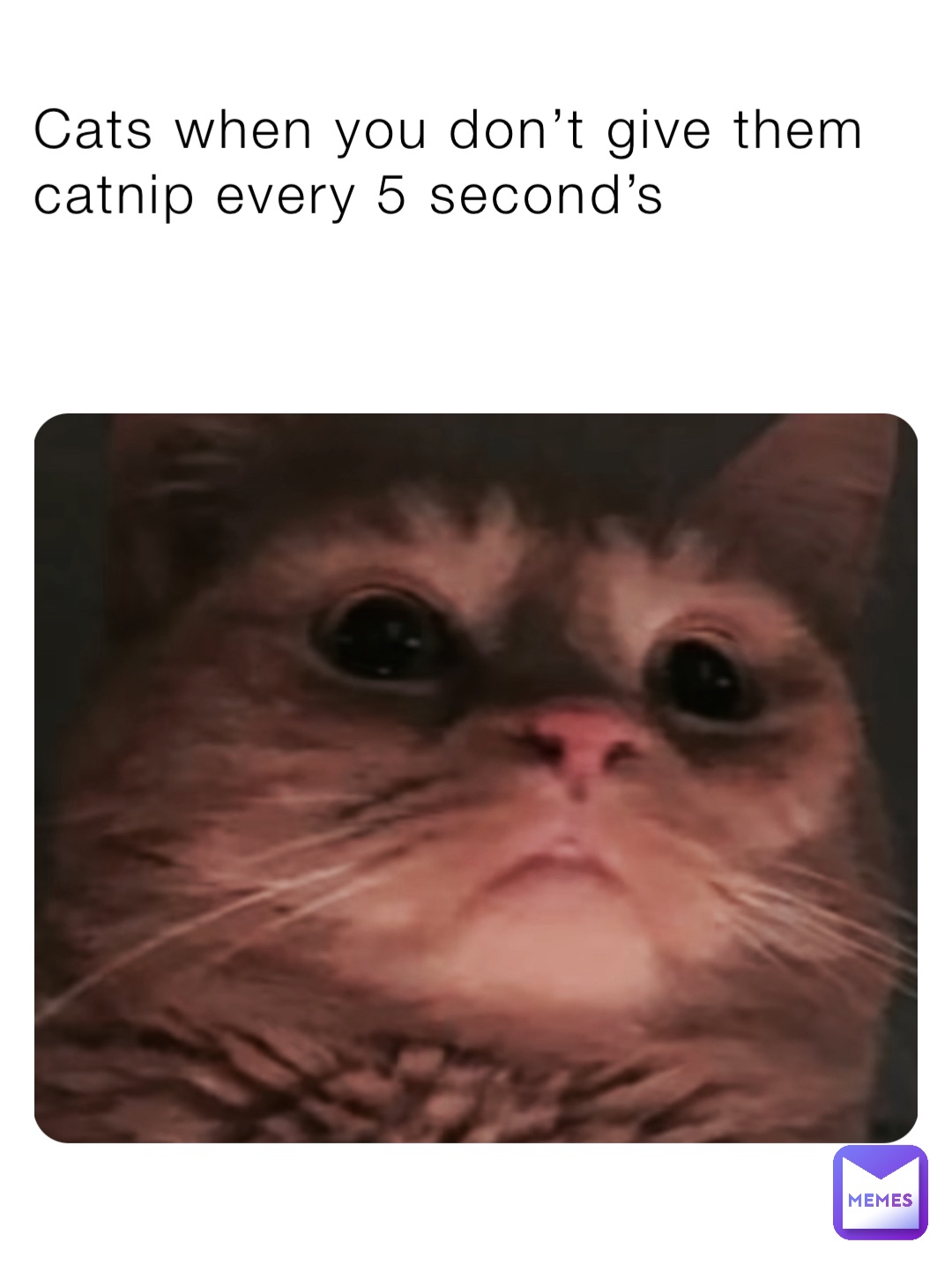 Meme by king_kool_cat