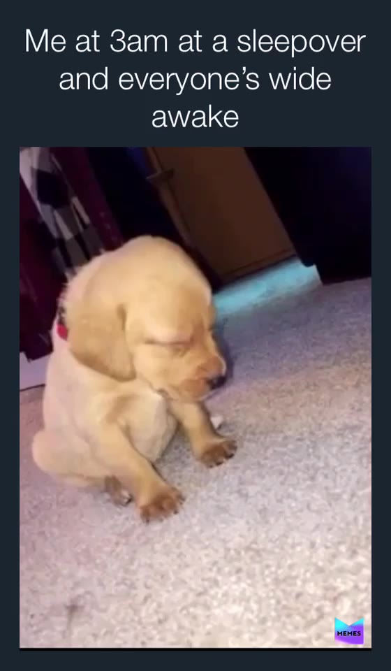 #lazy