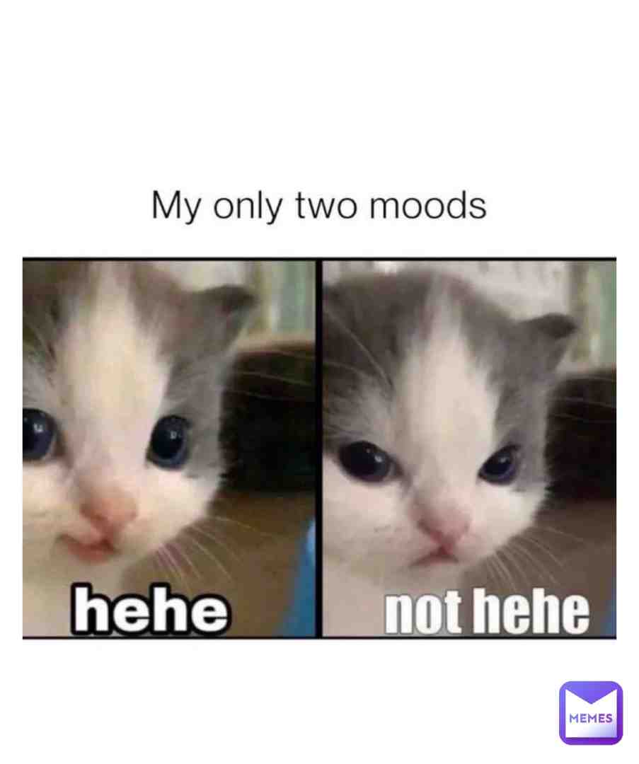 π #memesdaily #memes #instagram #instagood #cool #new #beautiful #co #in #music #movie #art #simpsons #mood #grea #lolmemes #wow #tbt #morning #funny #jokes #laugh #dog #cat #animals #pets #comedy