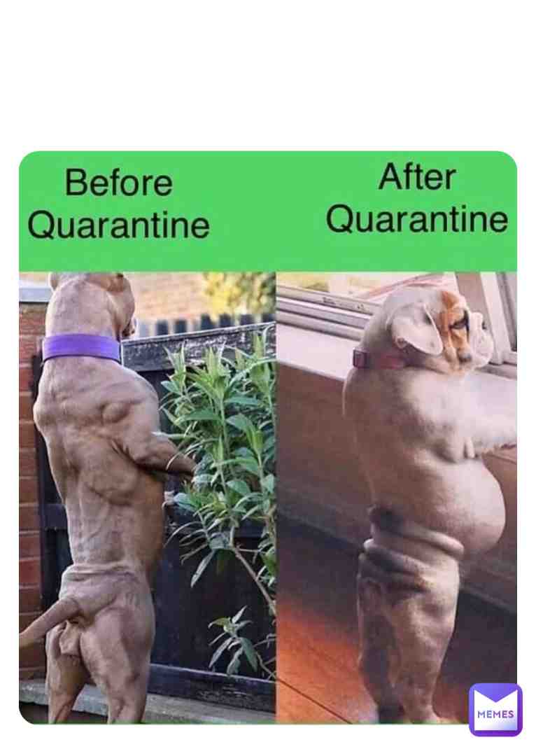 Lol π #memes #memesdaily #instagram #instagood #cool #new #beautiful #co #in # #k #music #movie #art #simpsons #mood #grea #lolmemes #wow #tbt #morning #funny #jokes #laugh #dog #cat #animals #pets #comedy #dailymemes #daily #spooky #love #minecraft #bigbrain #spongebob #sports