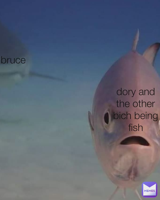 dory and the other both being fish bruce dory and the other bich being fish bruce