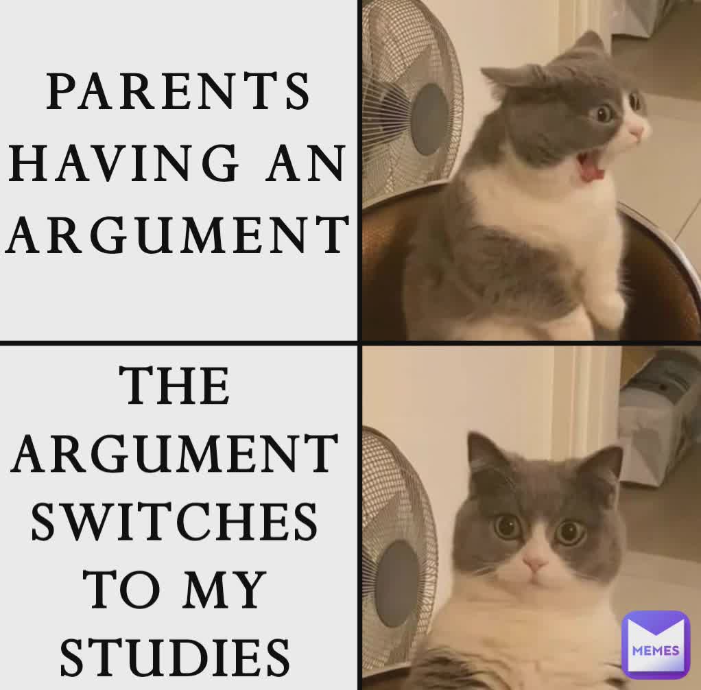 PARENTS HAVING AN ARGUMENT THE ARGUMENT SWITCHES TO MY STUDIES