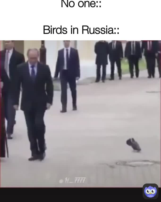 No one::

Birds in Russia::