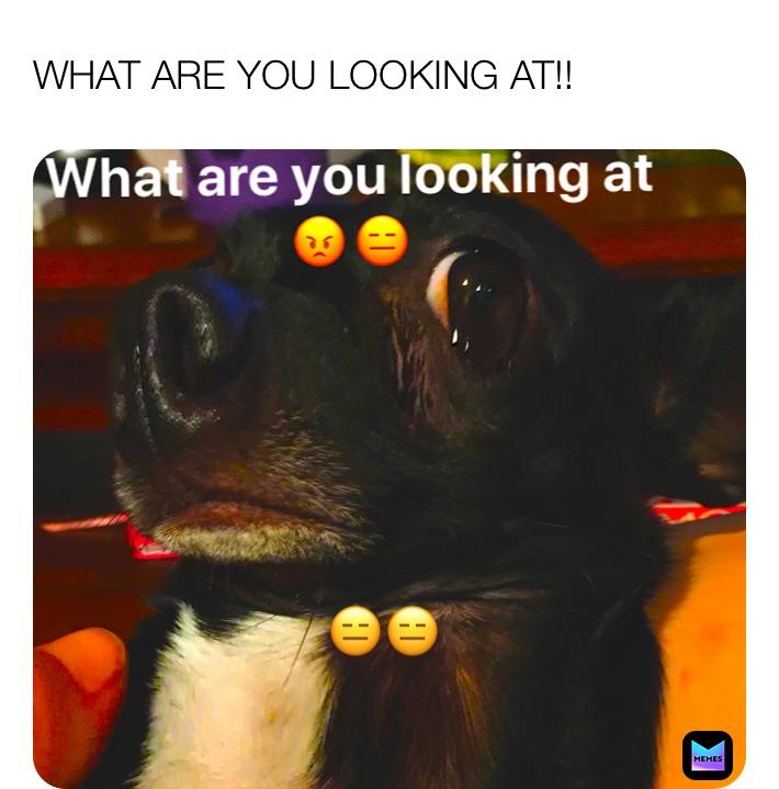 Meme by Beardie_Queen