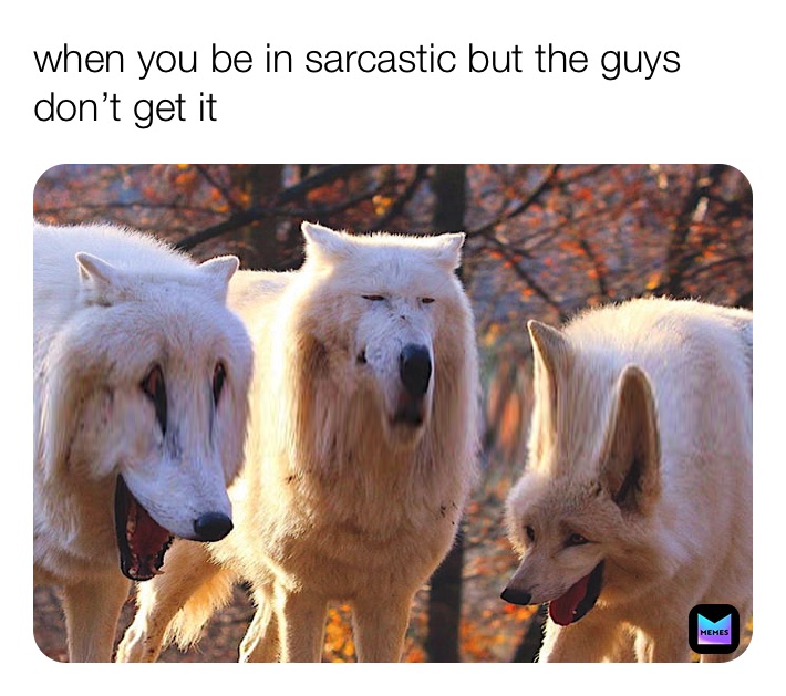 Meme by Beardie_Queen