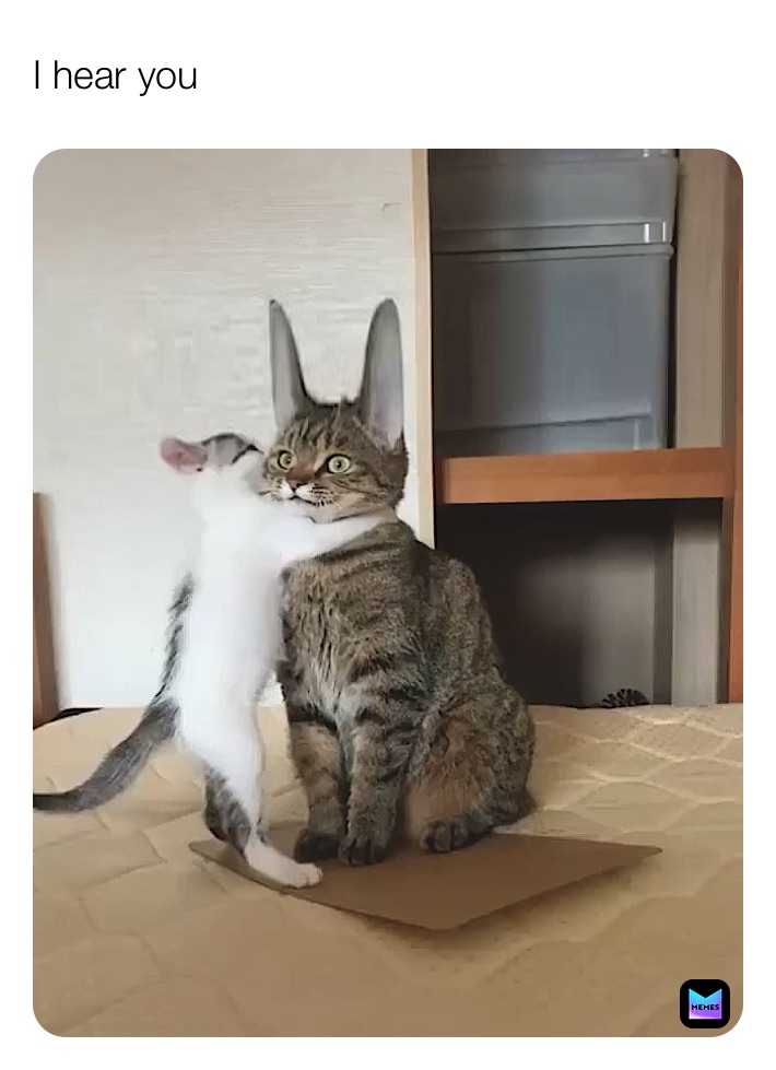 Meme by Beardie_Queen