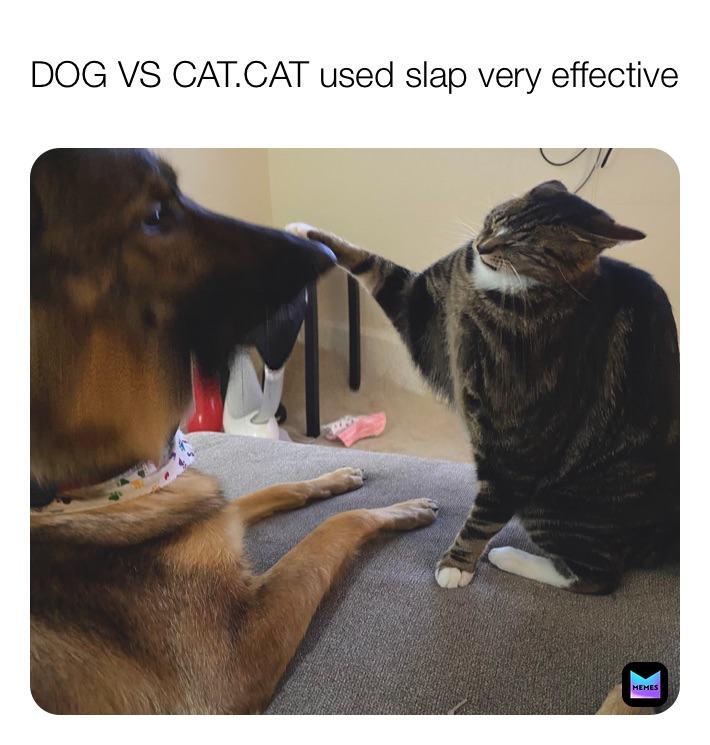 Meme by Beardie_Queen