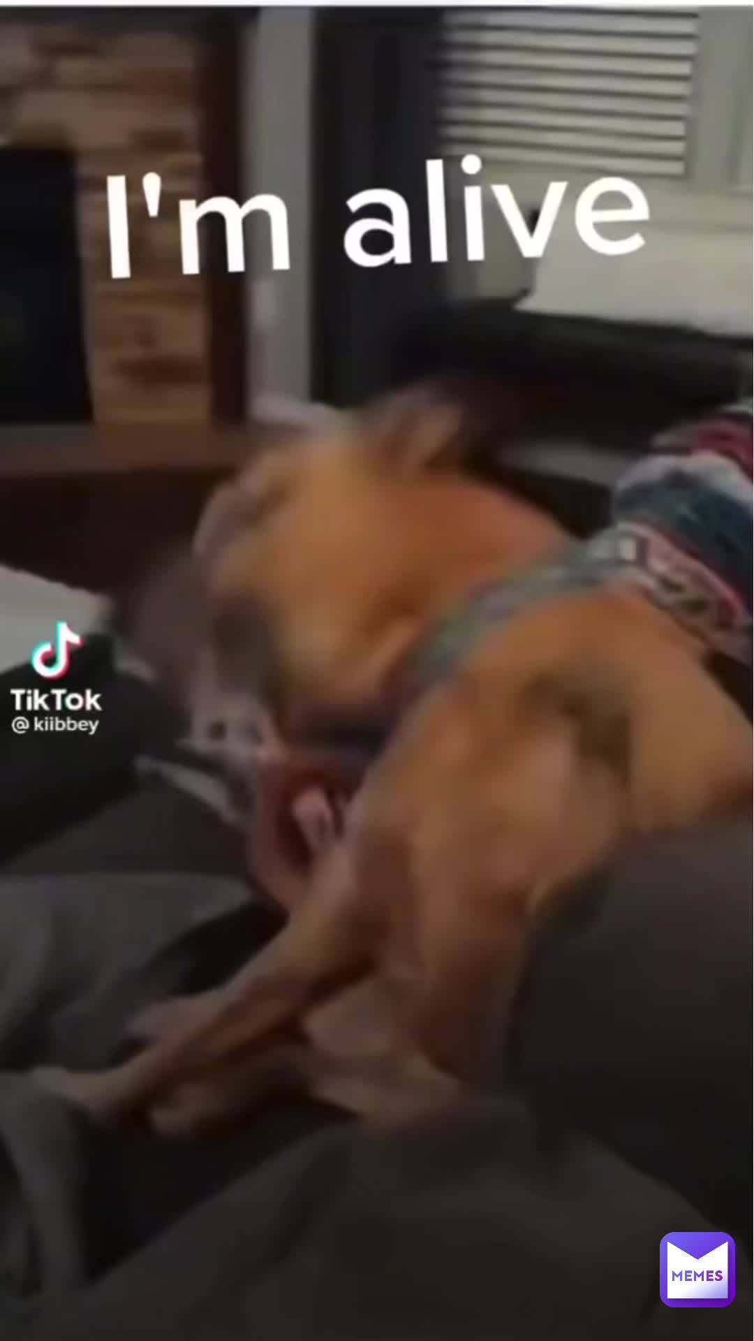 Meme preview