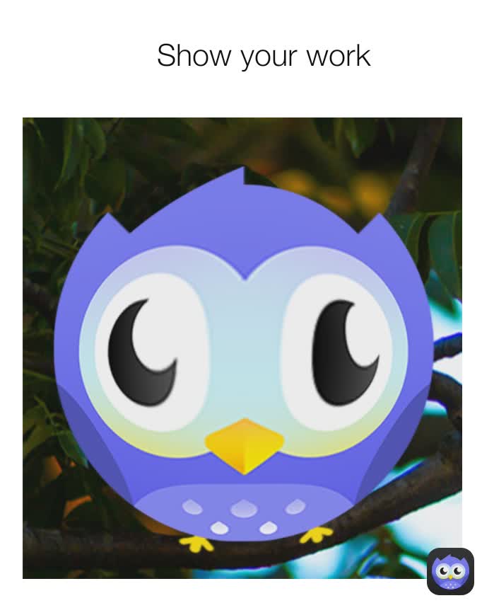 Show your work
