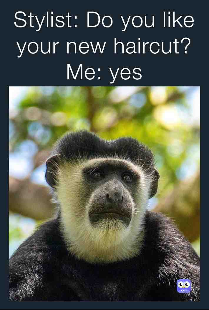 Meme shared by @WildJellyBean