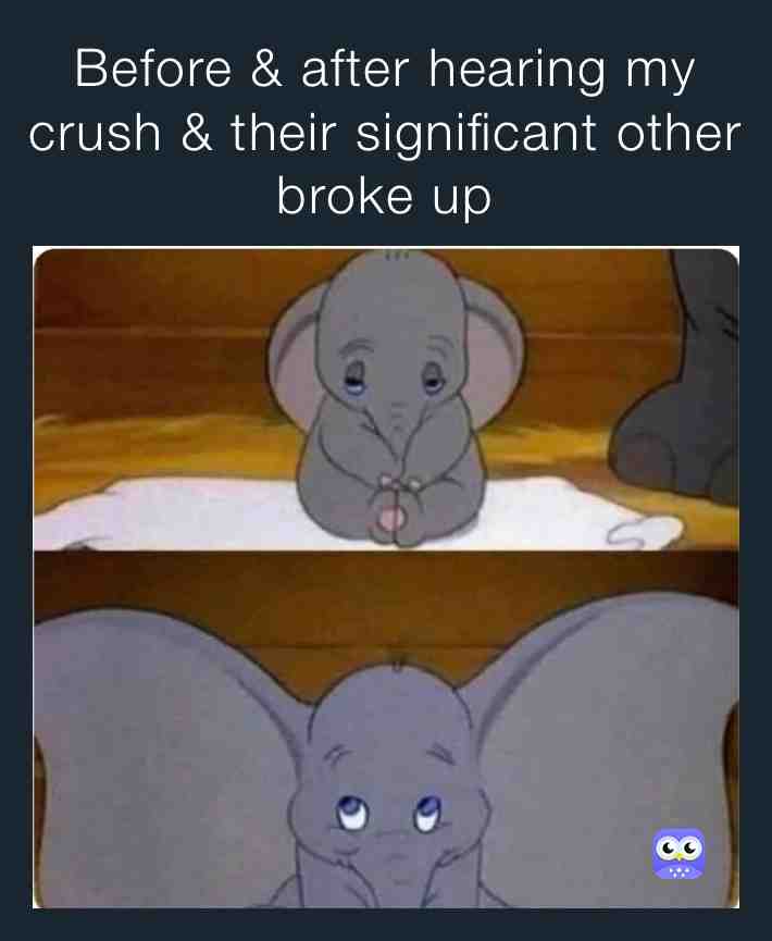 😅 sorry not sorry