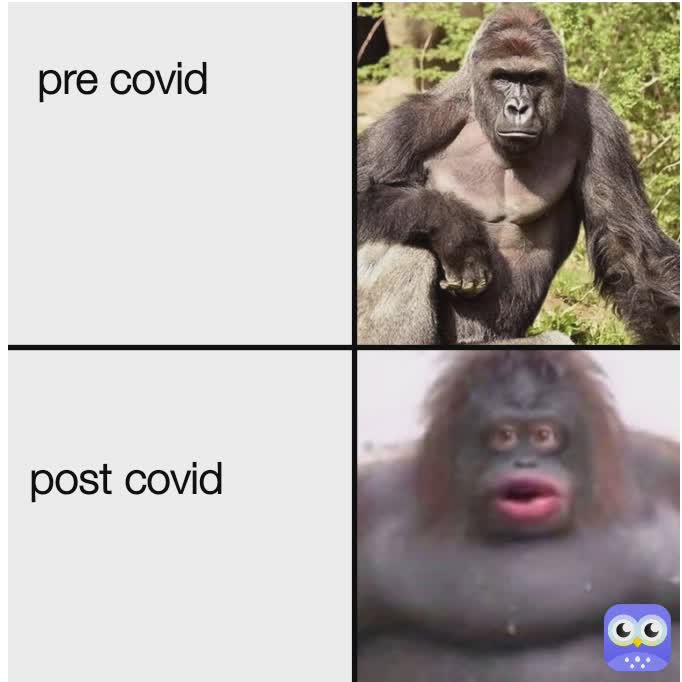 monke Memes