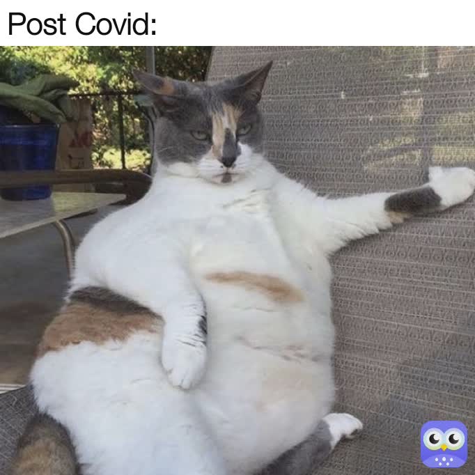 Meme by FAKE.le.monke