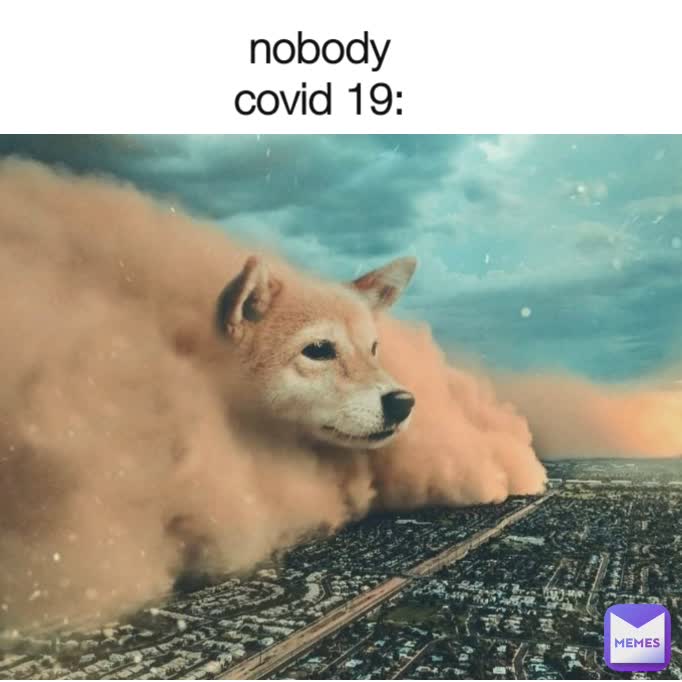 Meme by FAKE.le.monke